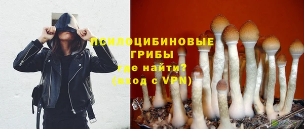 эйфоретик Великий Новгород