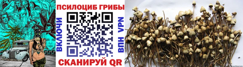 Галлюциногенные грибы GOLDEN TEACHER  Вилюйск 